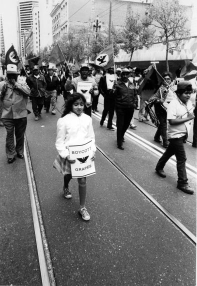 (3672) Renewed Grape Boycott, demonstration (3672) Renewed Grape Boycott, demonstration